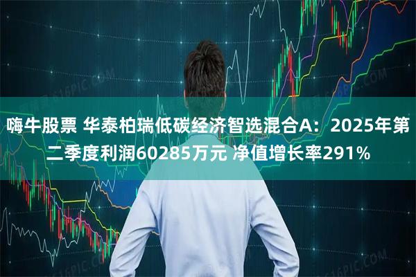 嗨牛股票 华泰柏瑞低碳经济智选混合A：2025年第二季度利润60285万元 净值增长率291%