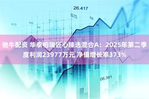 驰牛配资 华泰柏瑞匠心臻选混合A:2025年第二季度利润23977万元 净值增长率373%