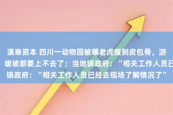 漢崋资本 四川一动物园被曝老虎瘦到皮包骨，游客:老虎走路都打偏了，缓坡都要上不去了；当地镇政府：“相关工作人员已经去现场了解情况了”