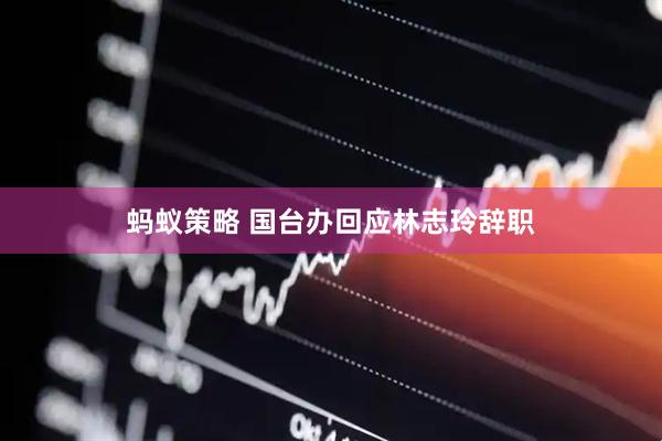 蚂蚁策略 国台办回应林志玲辞职