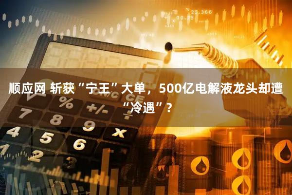 顺应网 斩获“宁王”大单，500亿电解液龙头却遭“冷遇”？
